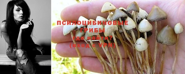 марки lsd Осташков