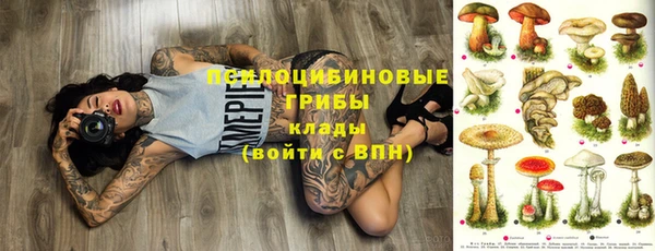 дмт Няндома