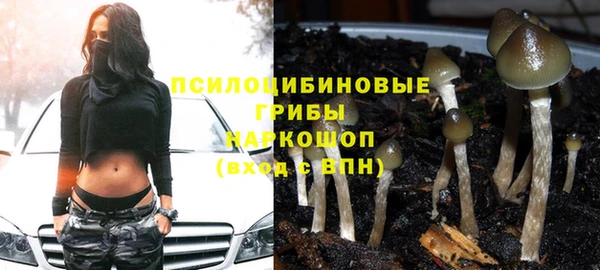 дмт Няндома