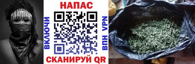 Купить закладки  Ярославль  Канабис гибрид 